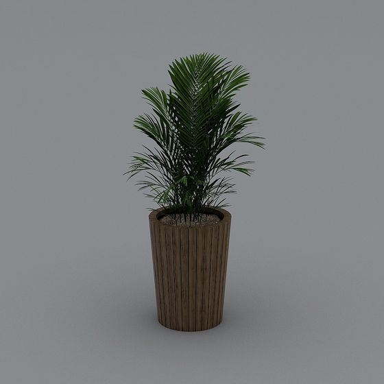 Low Poly Indoor Palm Plant 3D model