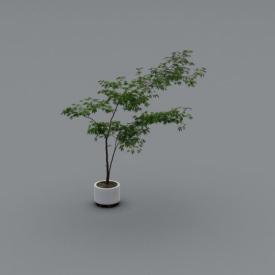 Low Polygon 3D Model of Potted Tree