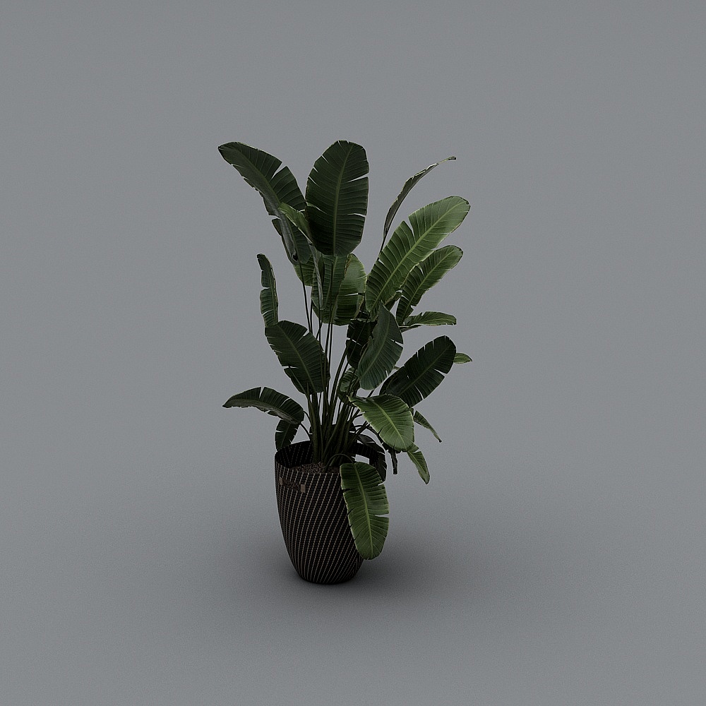 Modern Potted Plants 18-1