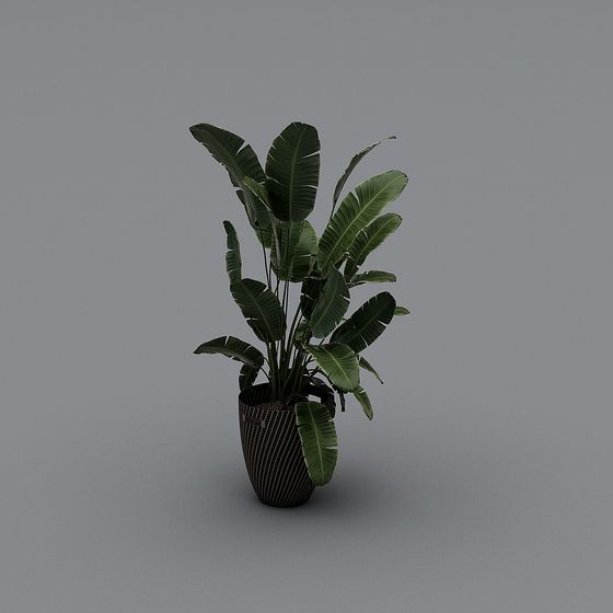 Stylish Indoor Potted Plant 3D model