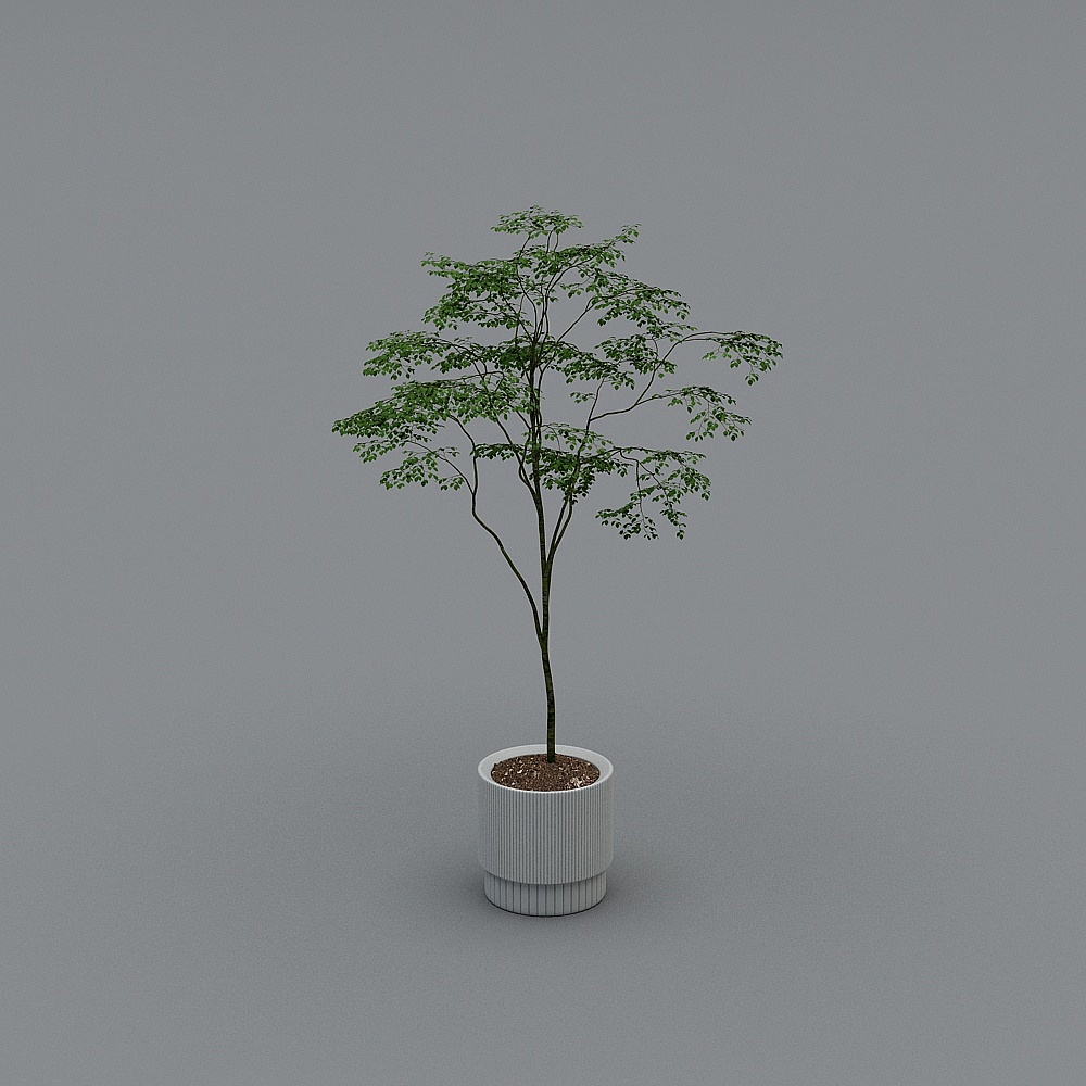 Vibrant Potted Plant 3D model