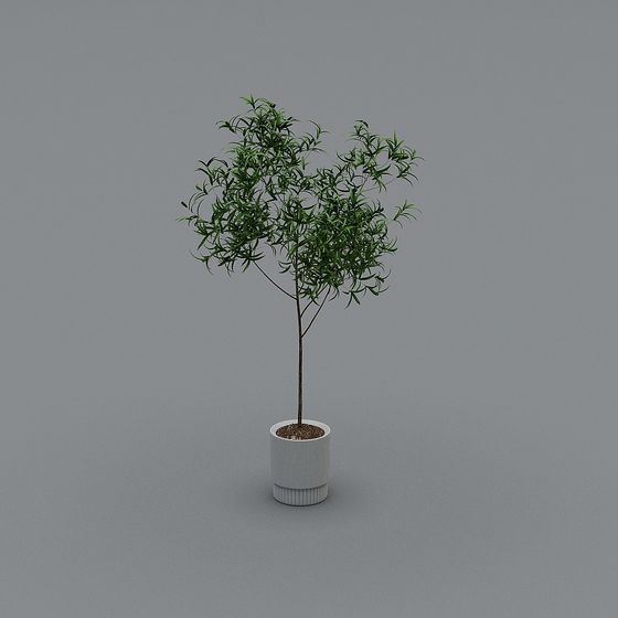 Vibrant Potted Plant 3D model