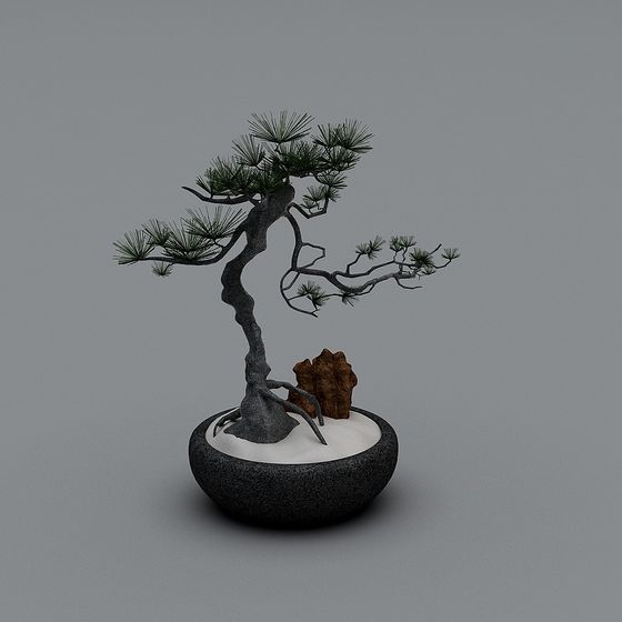 Miniature Pine Tree 3D model