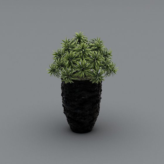Urban Greenery Low-Poly Plant 3D model for Creative Projects