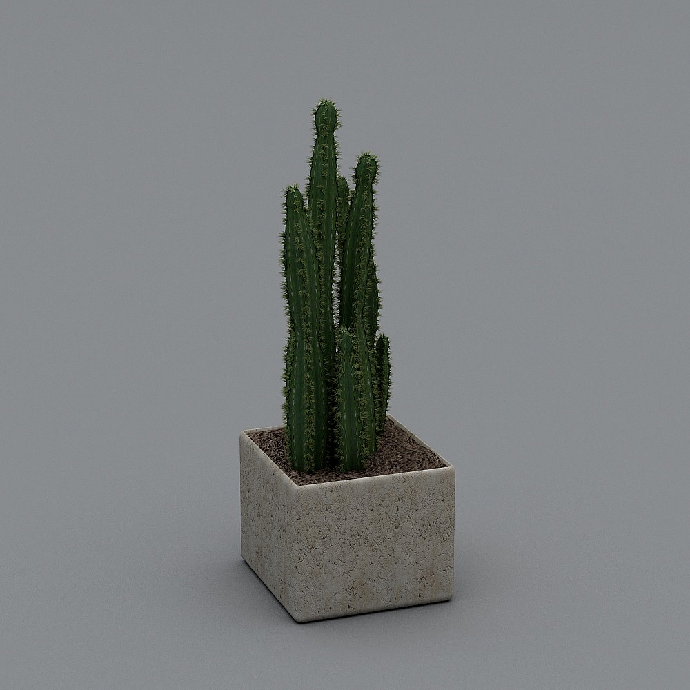 Thực vật ngoài trời