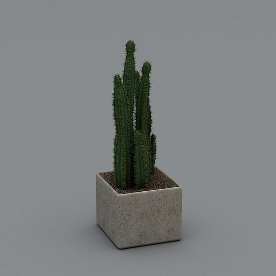 Thực vật ngoài trời