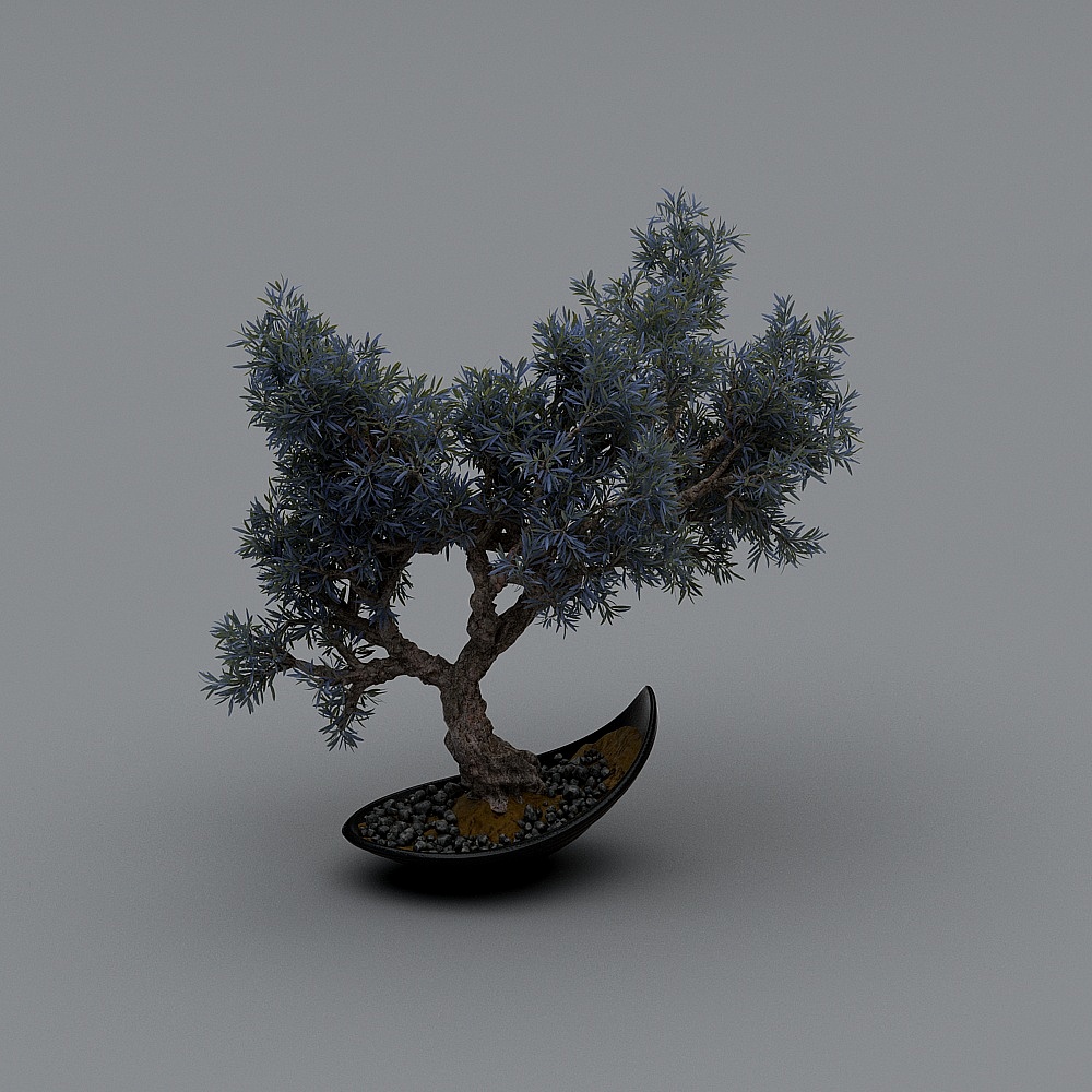 New Chinese Bonsai 4