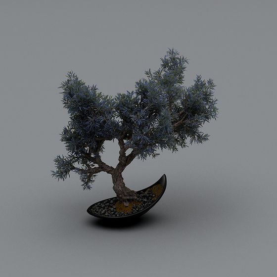 Detailed Mini Pine Tree 3D Model