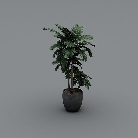 Stylish Tropical Plant 3D model for Creative Projects