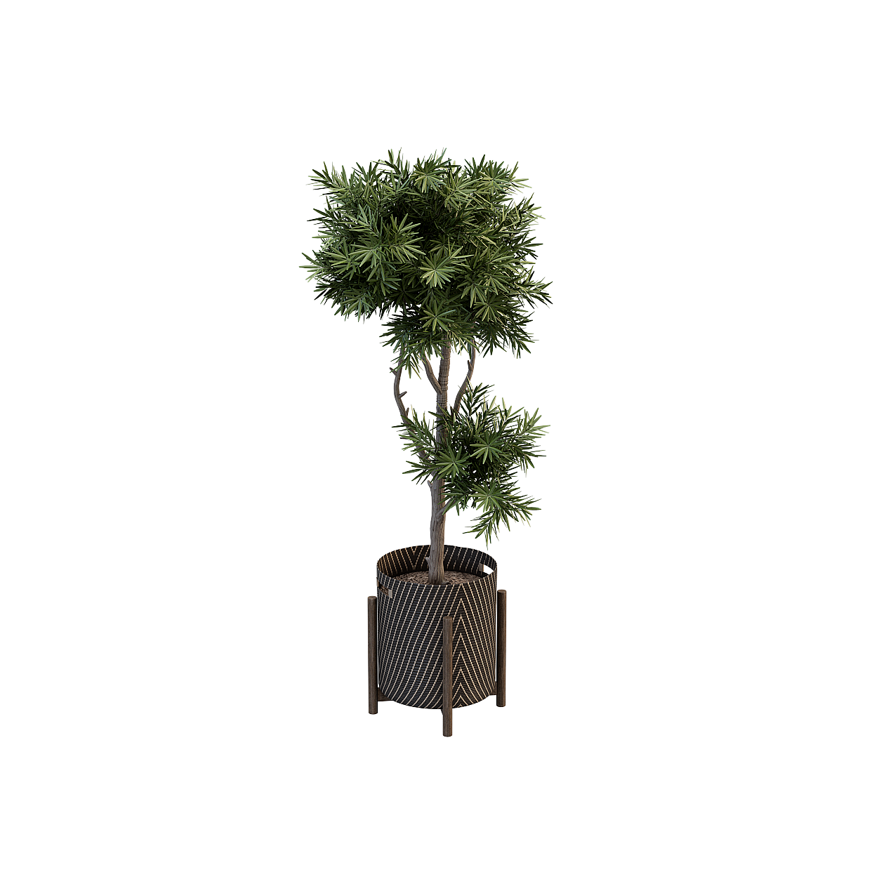 Lush Indoor Potted Plant 3D Model – Green Foliage Detail