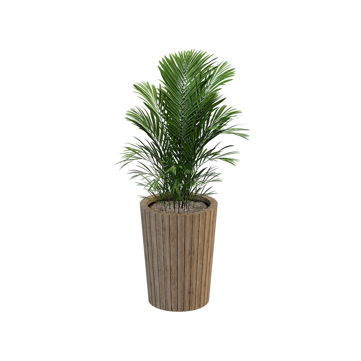 Low Poly Indoor Palm Plant 3D Model – Textured Planter