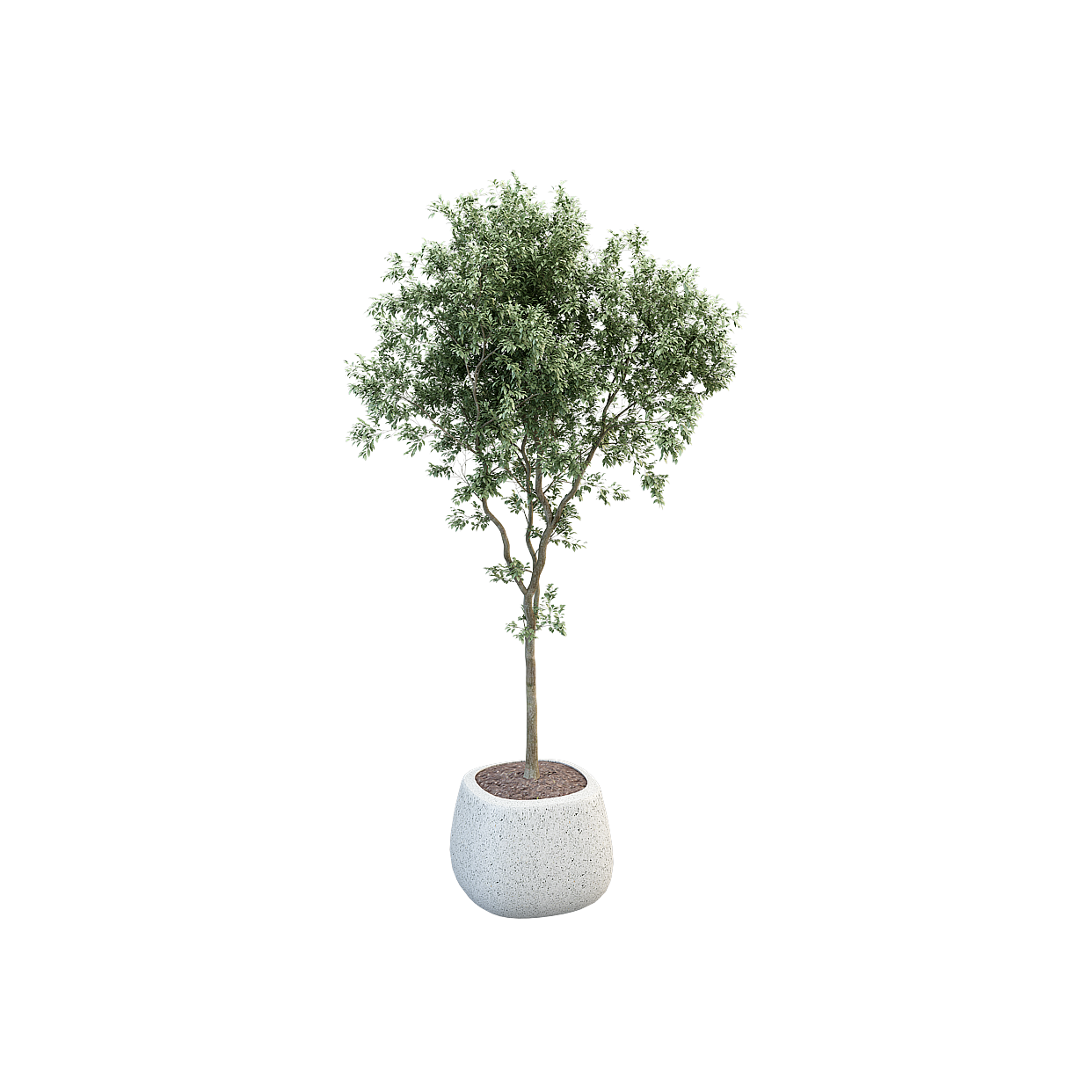 Urban Oasis Low-Poly Tree Model – Vibrant Nature Design