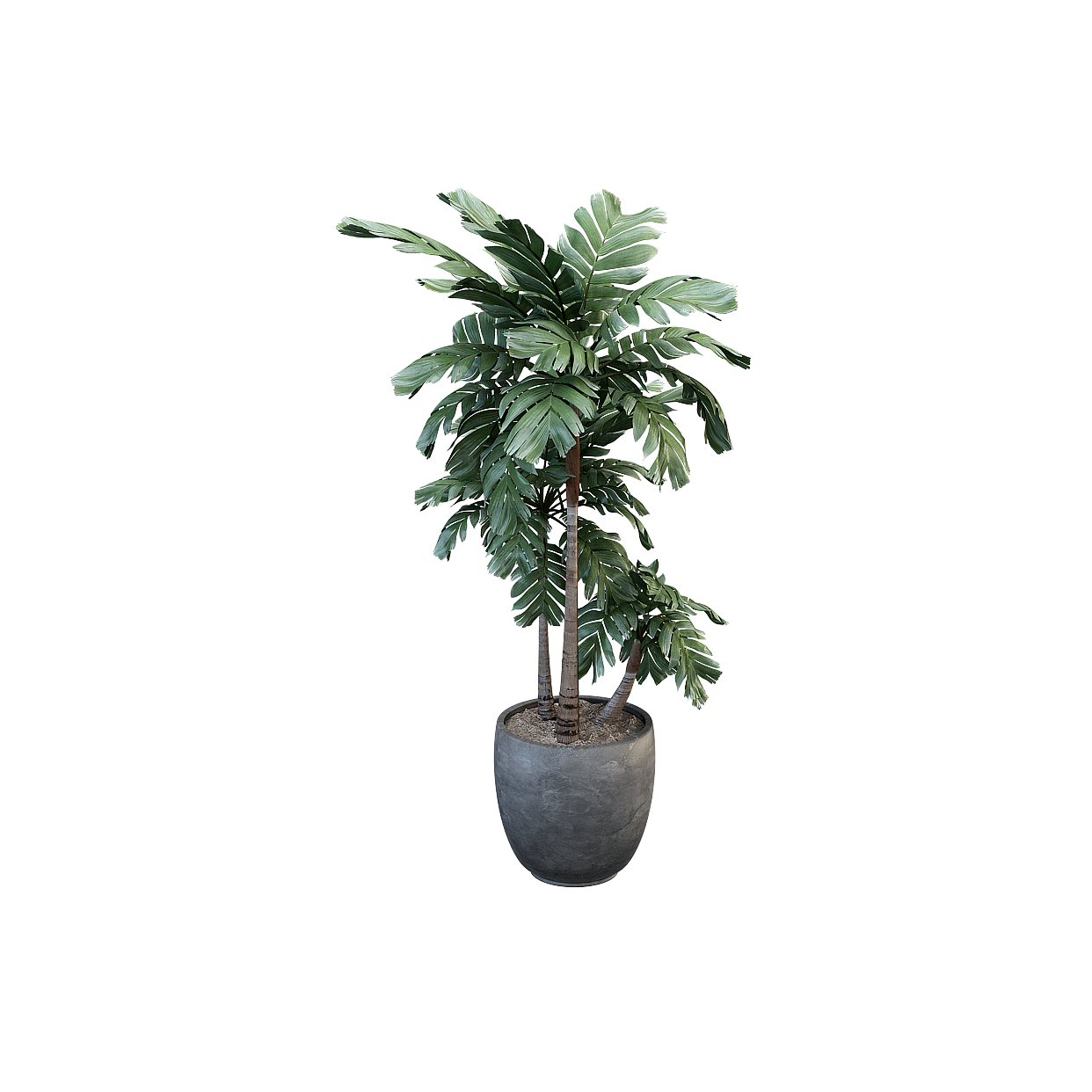 Tropical Potted Plant 3D Model – Low Poly Indoor Plant