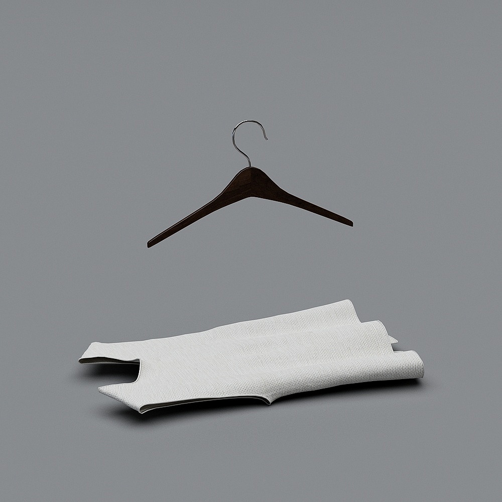 Minimalist Hanger with T-Shirt 3D model