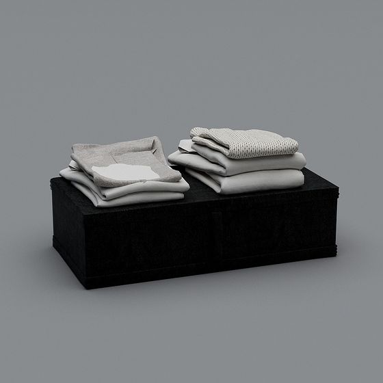 Elegant Foldable Clothing Display Box 3D model