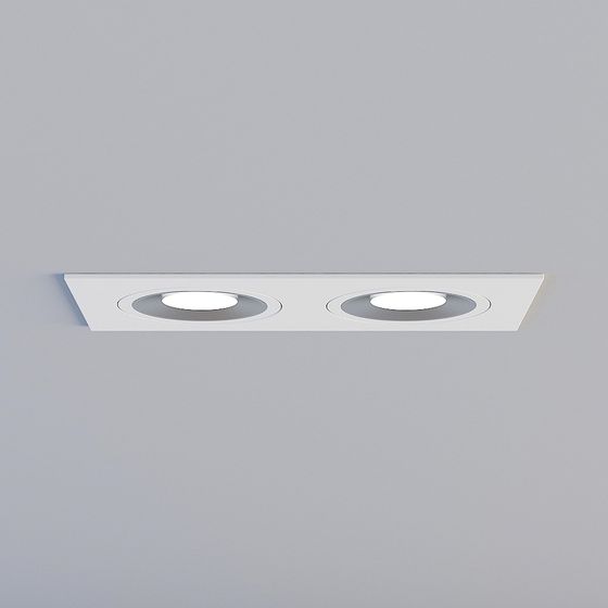 Double Head Recessed Light 3D model