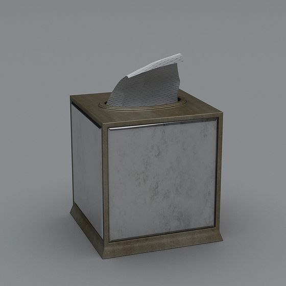 Vintage Tissue Box 3D model with Polished Design