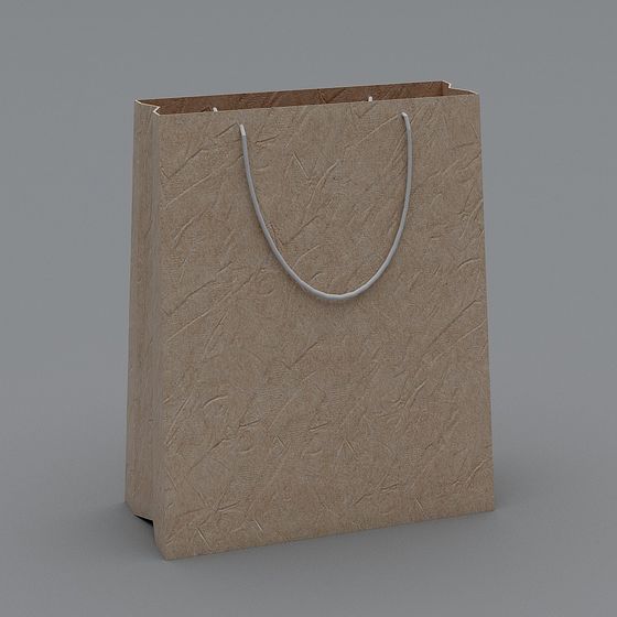 Recycled Paper Bag 3D model