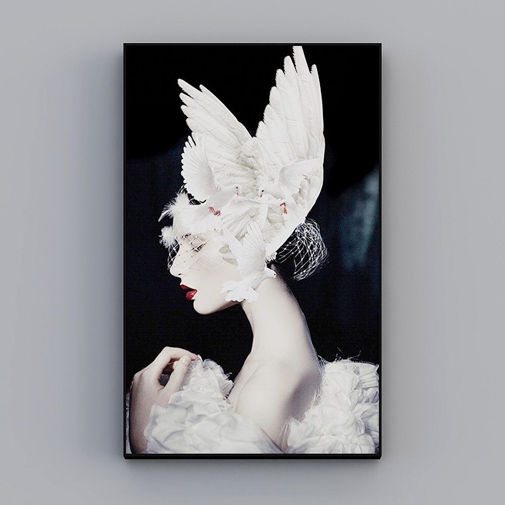 Roshan - Modern Wind - Light luxury Xuanguan aisle decoration painting - Feather image D