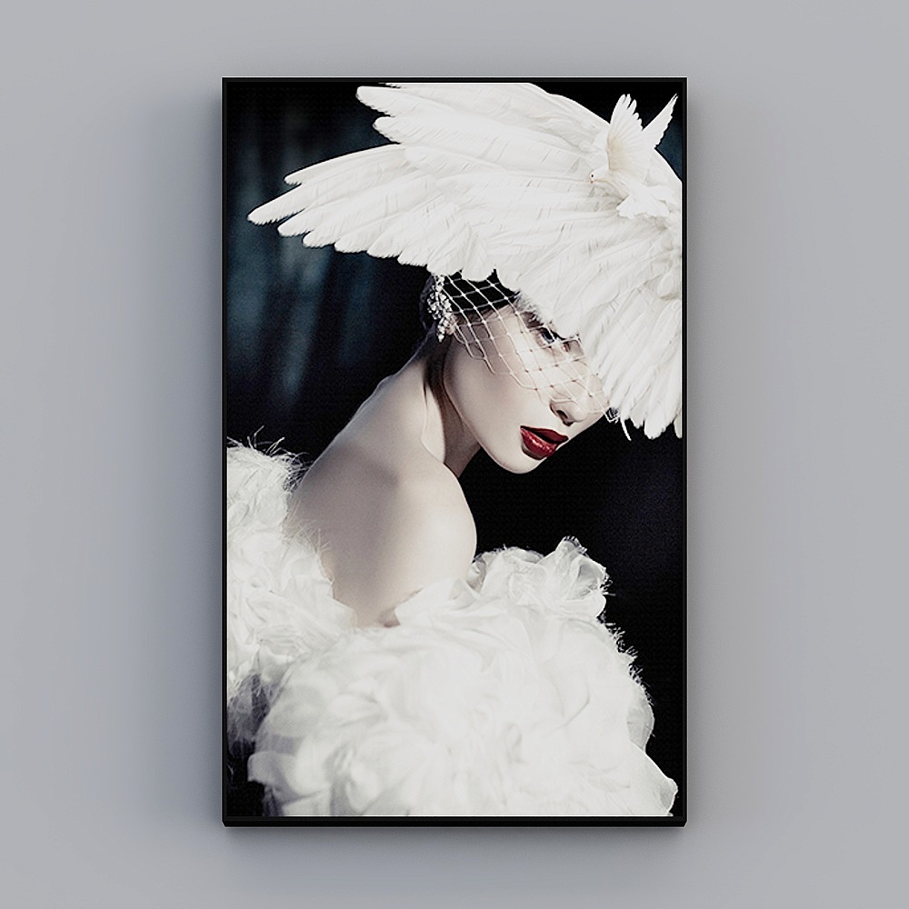 Roshan - Modern Wind - Light luxury Xuanguan aisle decoration painting - feather image B