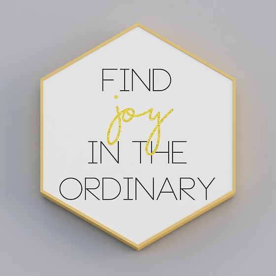 Find Joy in the Ordinary Hexagonal Decorative Sign 3D model