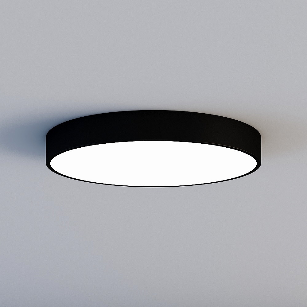 Ceiling light