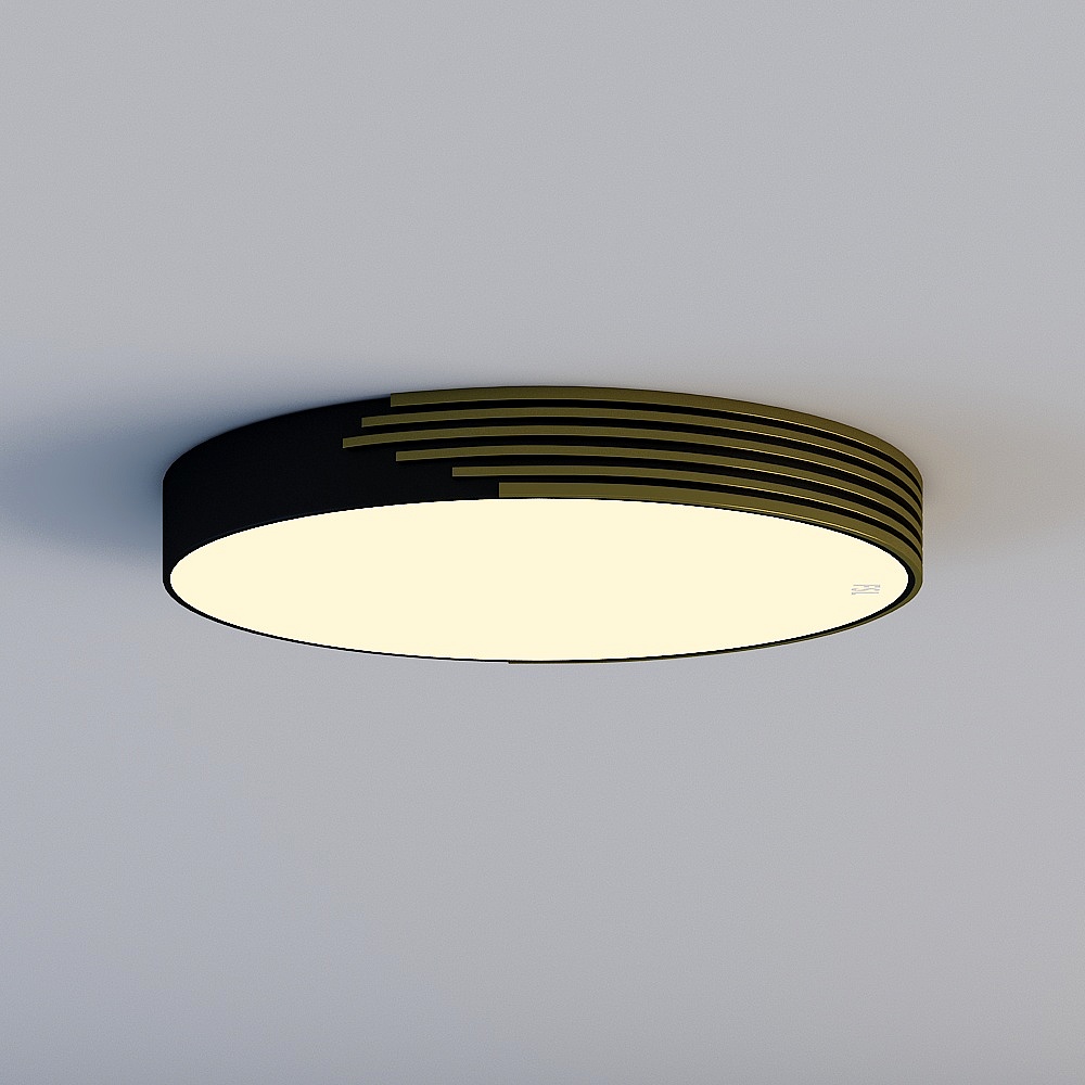 Ceiling light