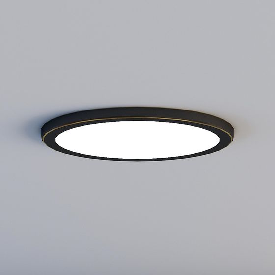 Elegant Round Ceiling Light 3D model