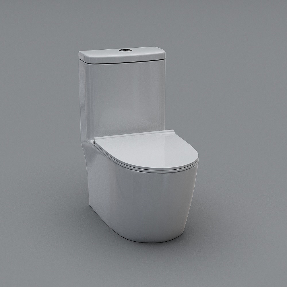 toilet