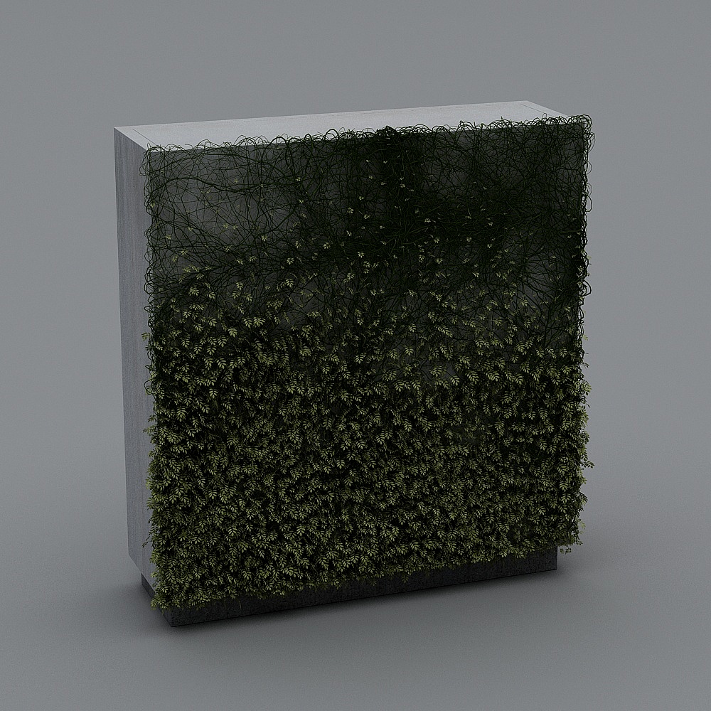 Modern Plant Wall 6-3