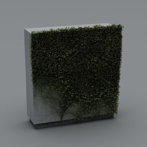 Tường cây hiện đại 6-2