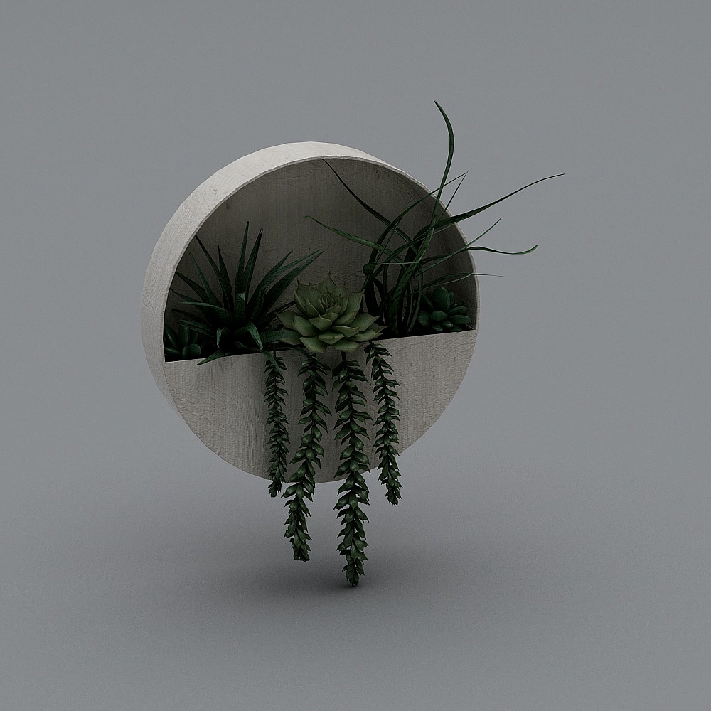 chậu cây xanh treo tường