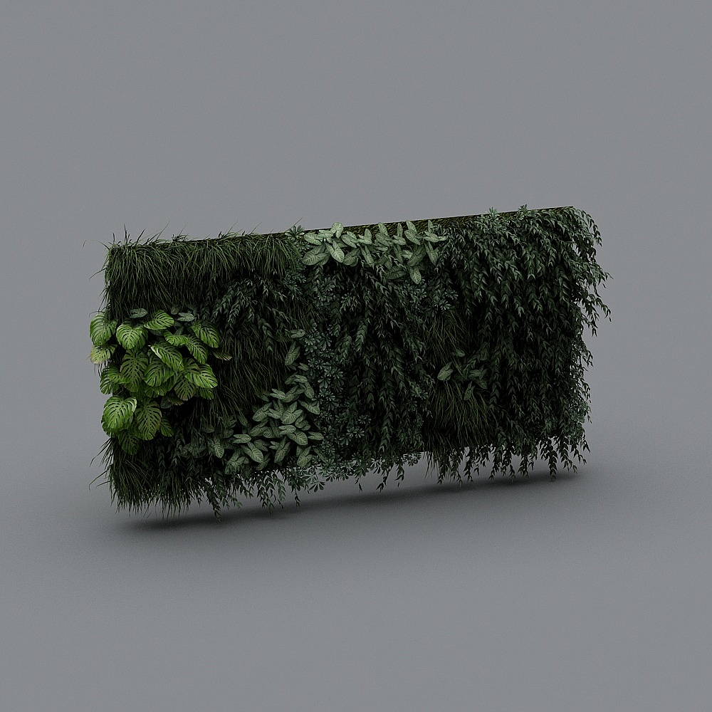 Tường Cây Cảnh