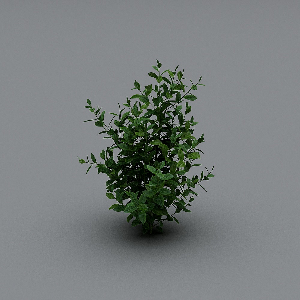 Forest Spirit Low-Poly 3D Model