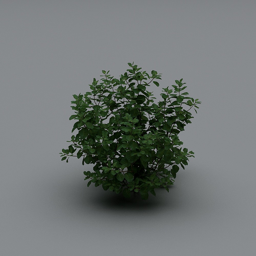 Soul of the Forest Low Poly 3D Model