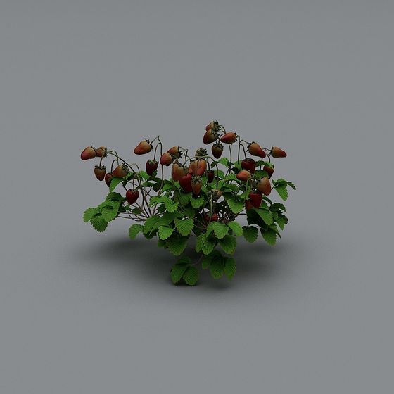 สตรอเบอร์รีสไตล์โมเดิร์น