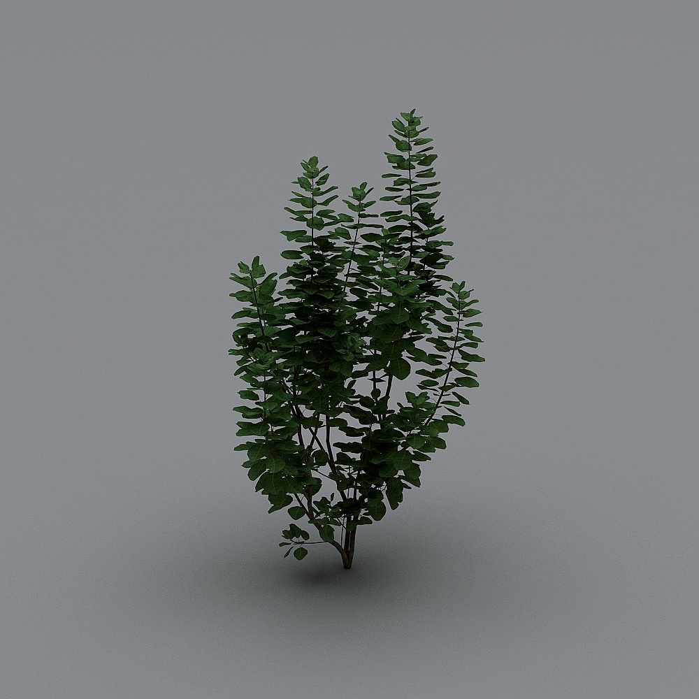 Spirit of the Forest 3D model