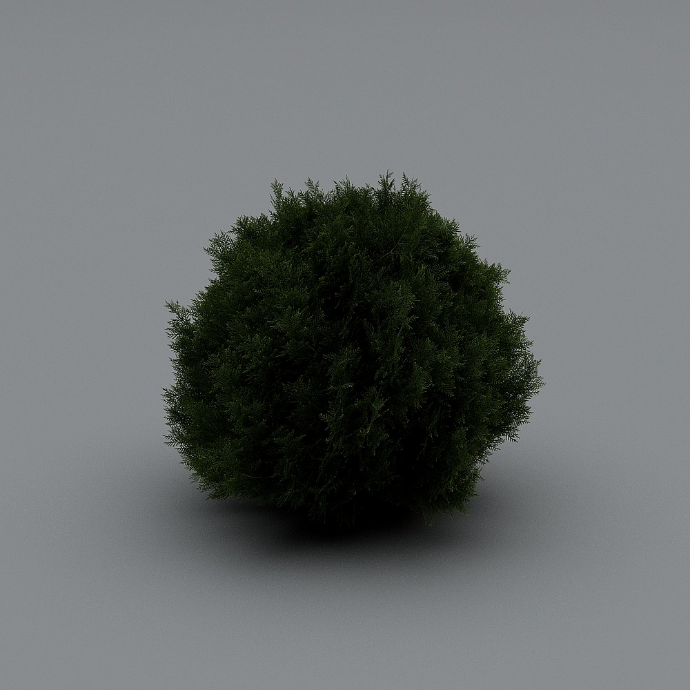 Dome Evergreen Tree 3D Model