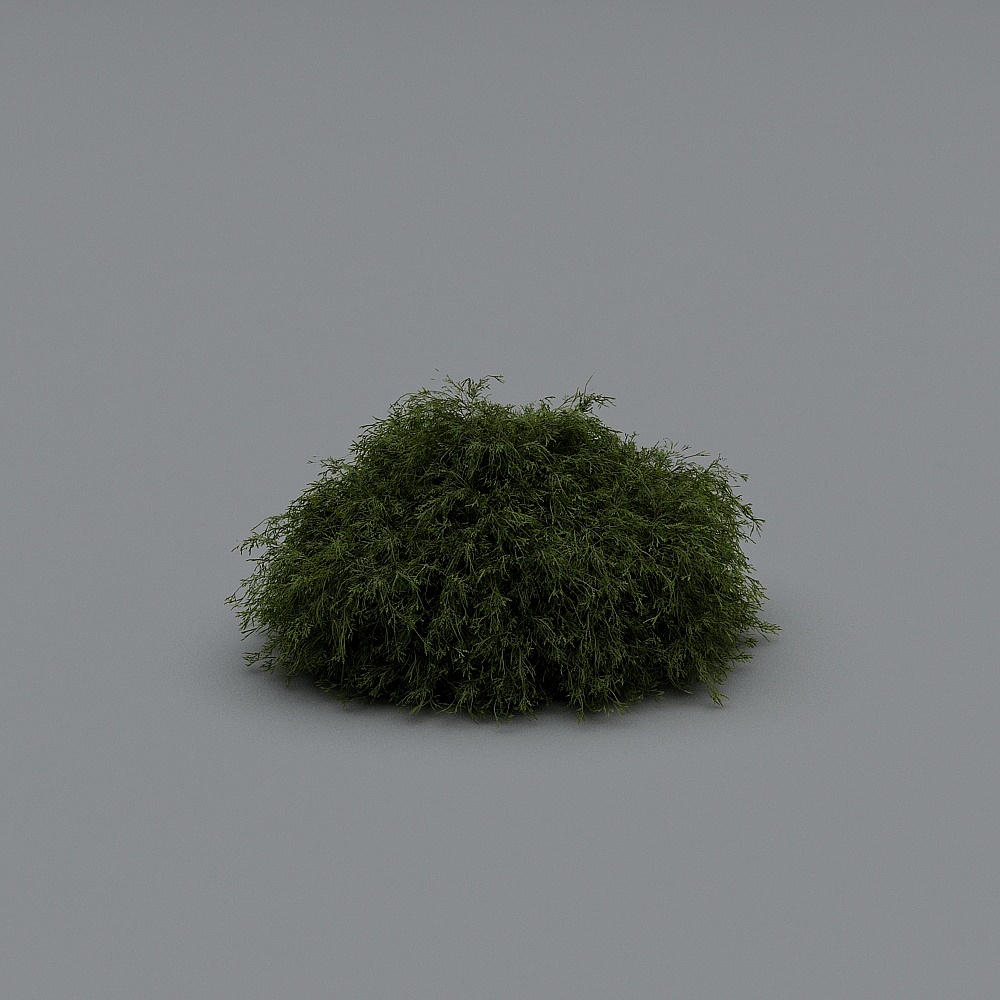 Cây bụi hiện đại 6-4