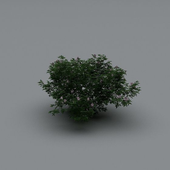 Garden Bush Low Poly 3D model