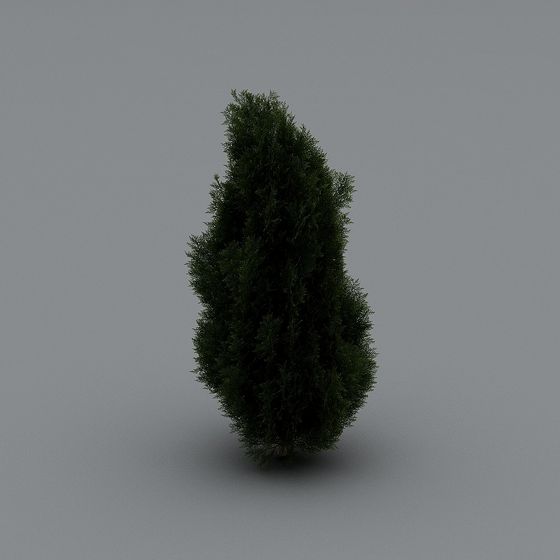 Lifelike Evergreen Tree 3D model