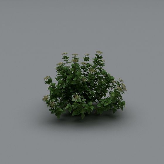 Garden Scene Low-Poly Plant 3D model for Creative Projects