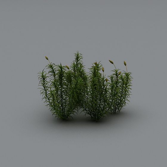Lush Low-Poly Grass 3D model
