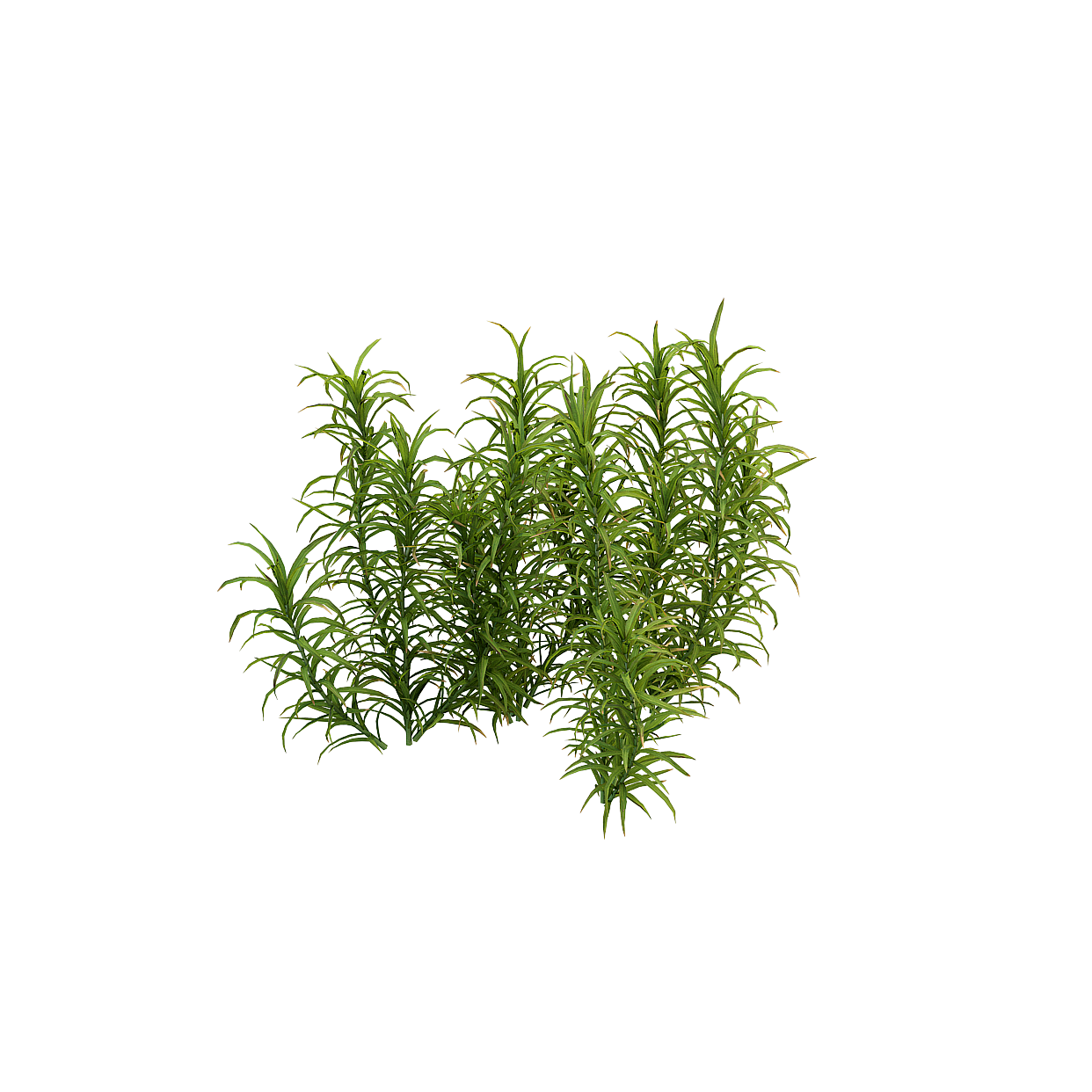 Lush Grassland Low-Poly 3D Model – Realistic Green Foliage