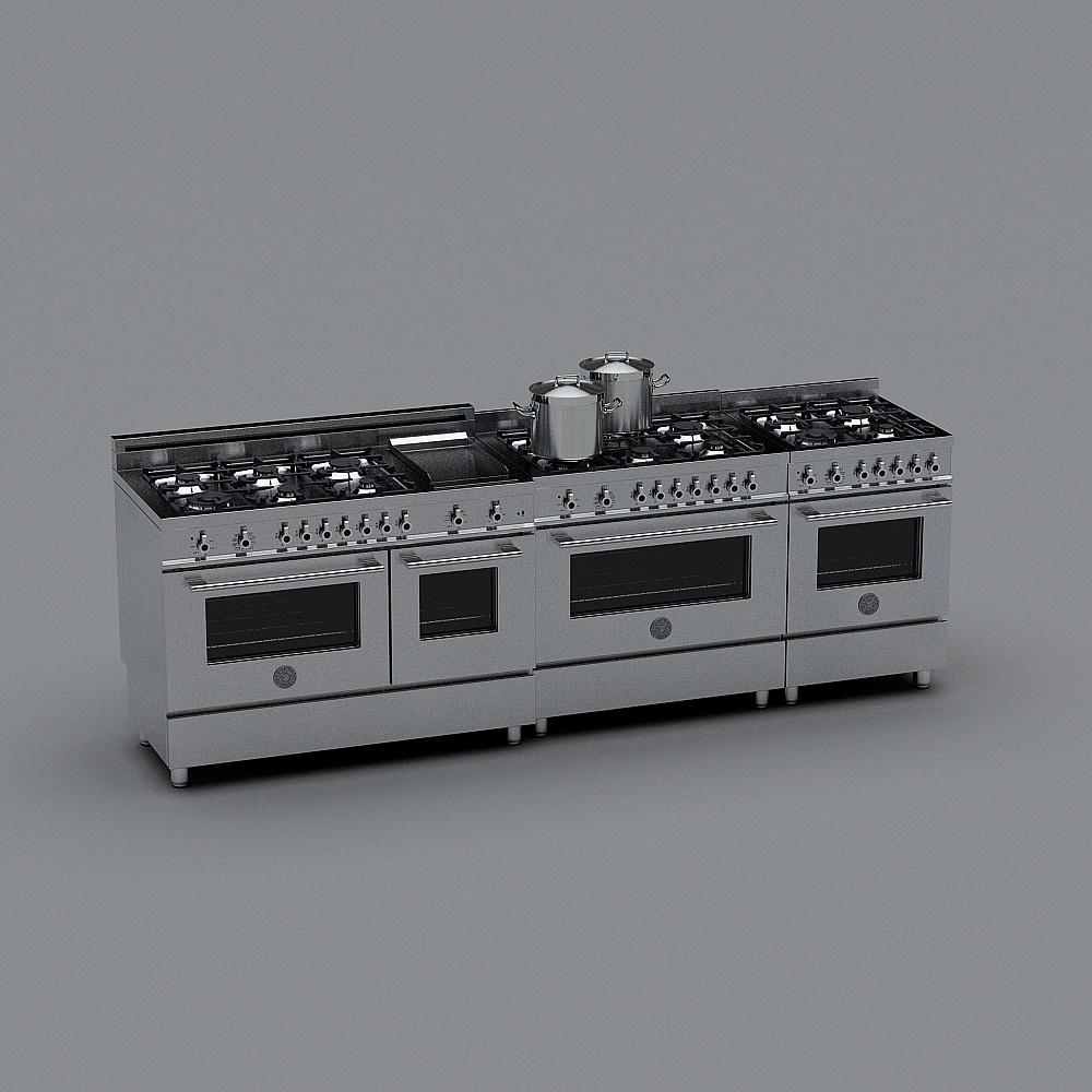 Cuisine Centrale d'Hôtel Moderne