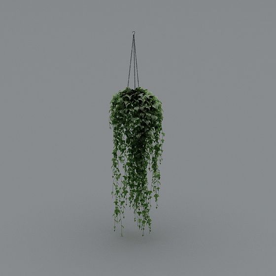 Avant garde Bracketplant,Bracketplant,Gray