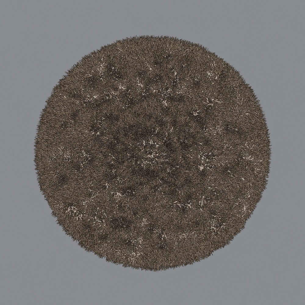 Southeast Asian Homestay Room - Carpet