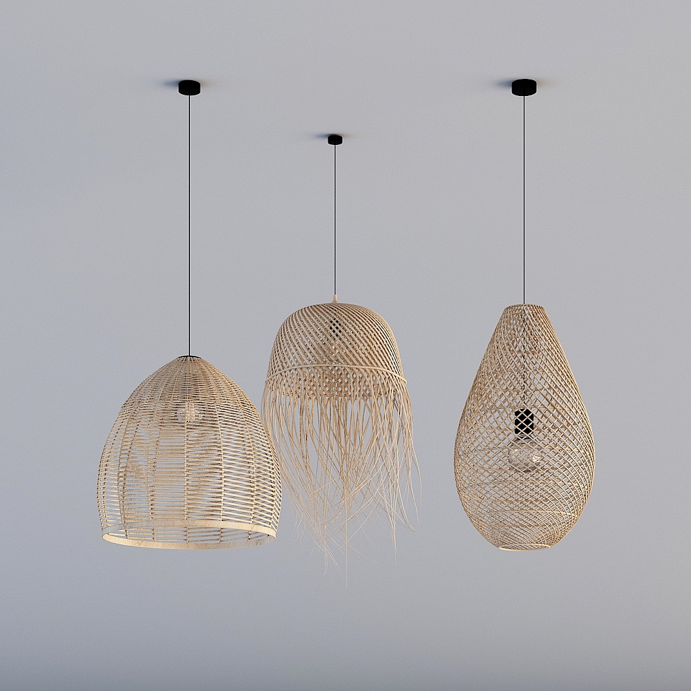 Phòng khách và phòng ăn B&B phong cách tự nhiên - đèn chùm trang trí