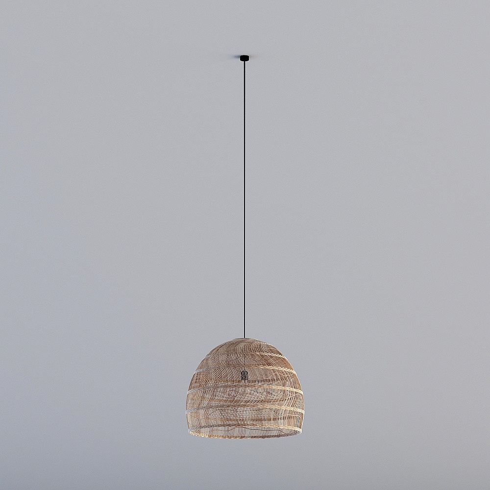 Modern Ceiling Lamp