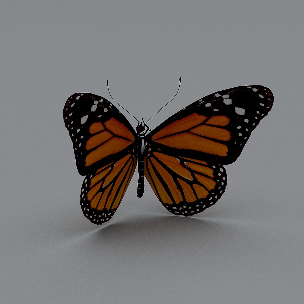 Majestic Monarch Butterfly 3D model